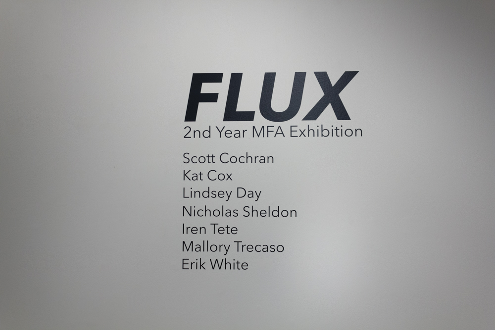 FLUX image