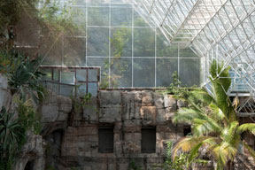 Photo by Dana Fritz titled Biosphere 2