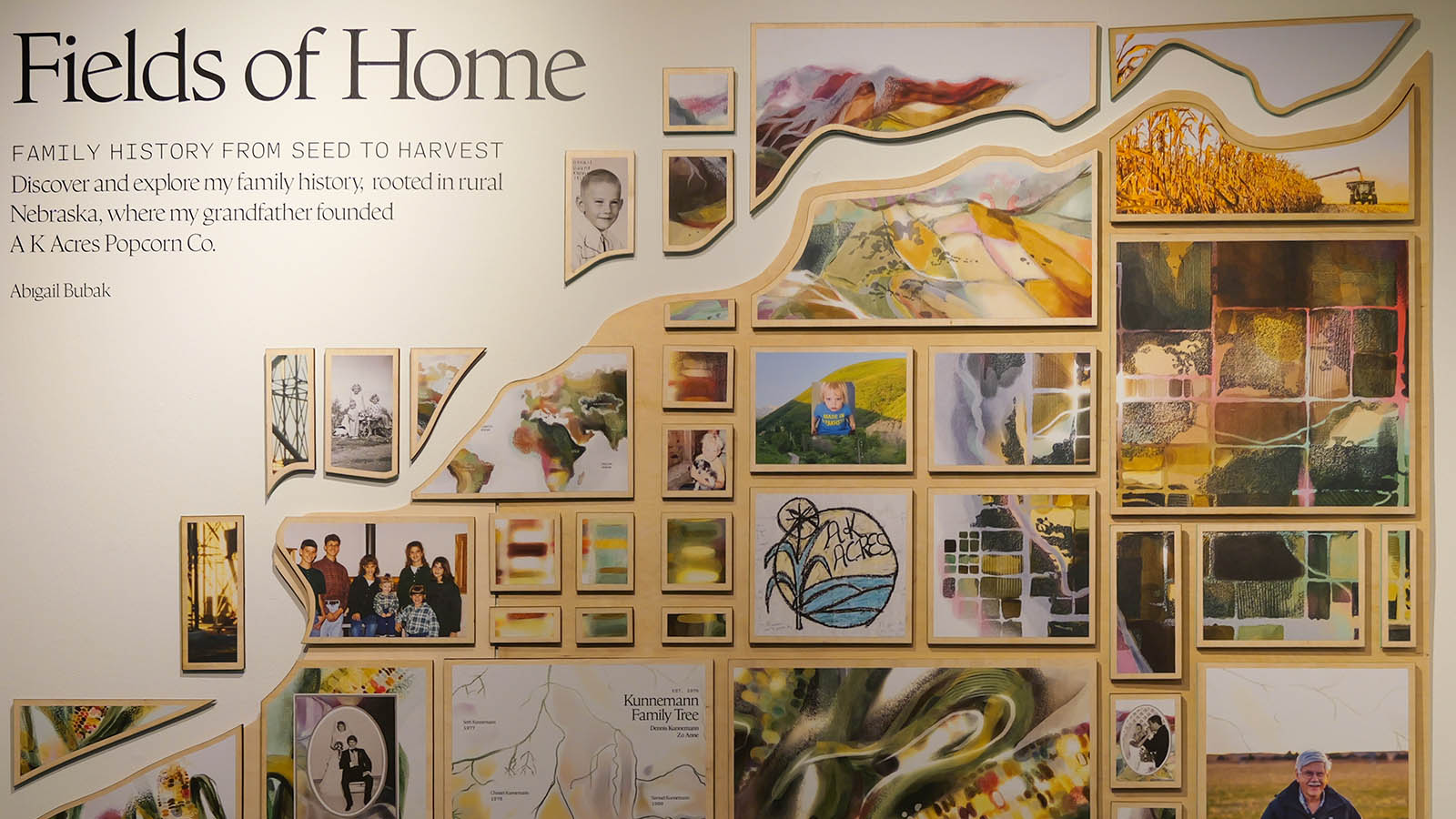 Collage of art and family photos with text "Fields of Home," showcasing rural and personal heritage.