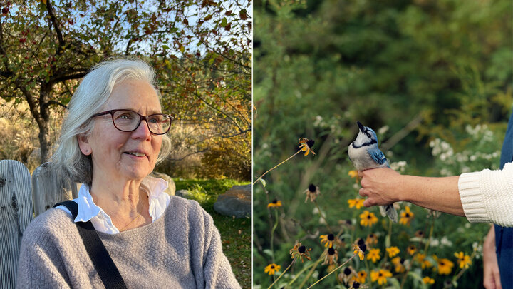 Left: Barbara Bosworth. Right: Barbara Bosworth, “Blue Jay,” 2002, from “Birds and Other Angels.”