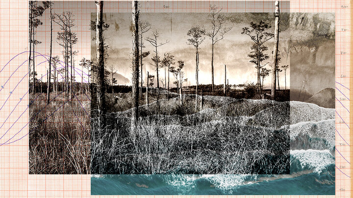 Margaret LeJeune, “Two Trees Marigram,” photomontage, 2022.	