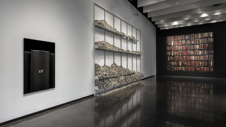 Mickey Smith, “Morphologies” exhibition installation at Law Warschaw Gallery in 2024.