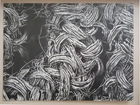 Sofia Fernandez, “Black Fique,” graphite on paper, 12” x 16”.