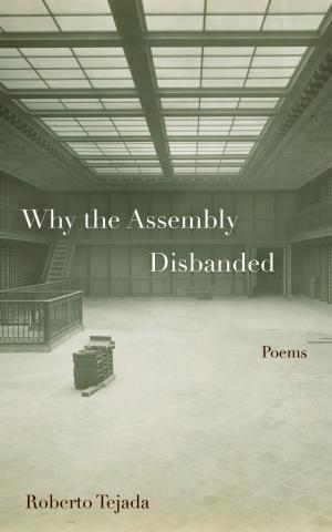 Roberto Tejada, “Why the Assembly Disbanded” (Fordham University Press, 2022).