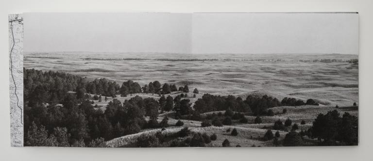 Dana Fritz, “Fire Tower View,” from "Field Guide to a Hybrid Landscape."