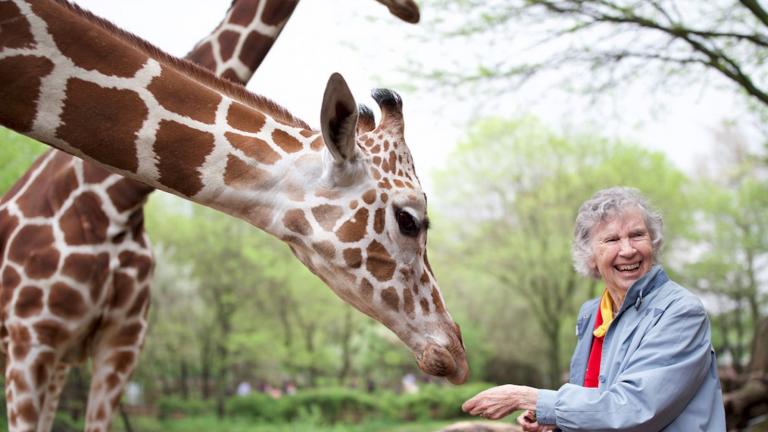 "The Woman Who Loved Giraffes" is one of the movies available for streaming through The Ross. 