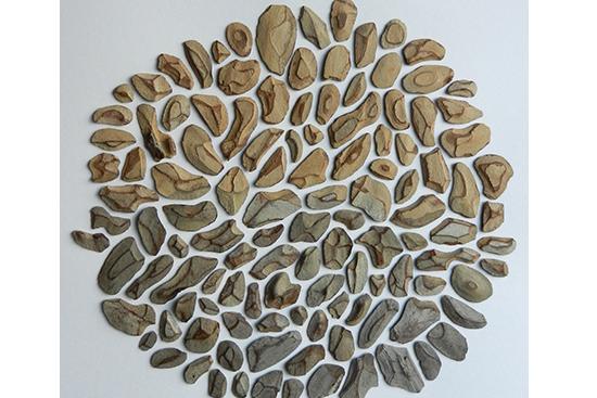 Kay Wilwerding, "Gradient," tree bark, 10" x 10', 2013